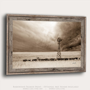 A black and white photograph of a windmill standing in a field with a herd of cattle grazing in the background, framed in a wooden frame.