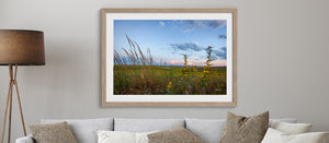 a framed photograph of a field with tall grass and yellow flowers, hanging on a wall above a couch with pillows.