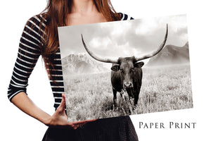 Texas Longhorn wall art – Western ranch photography print by Debra Gail Fine Art