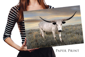 Texas Longhorn wall art – Western ranch photography print by Debra Gail Fine Art