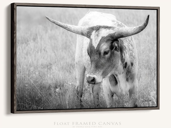 CUTE LONGHORN CALF PICTURE - FARMHOUSE COW NURSERY DECOR