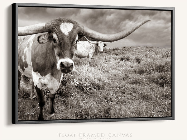 LONGHORN COW CANVAS ART PRINT - RUSTIC DECOR