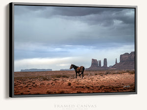 Wild Horse Wall Art | Monument Valley Southwest Rustic Decor Canvas Print