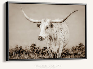 Longhorn Canvas Wall Art | Texas Longhorn Art - Rustic Western Wall Decor