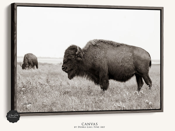 BUFFALO ART PRINT - NEUTRAL TONES