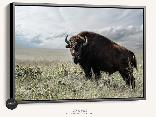 BIG BISON BULL ON THE PRAIRIE - RUSTIC WALL ART