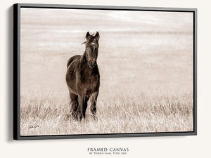 Wild Mustang Art | Horse Lovers Fine Art Photography