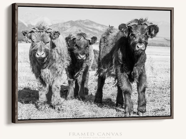 NURSERY WALL ART - CUTE SCOTTISH HIGHLAND COW PRINT