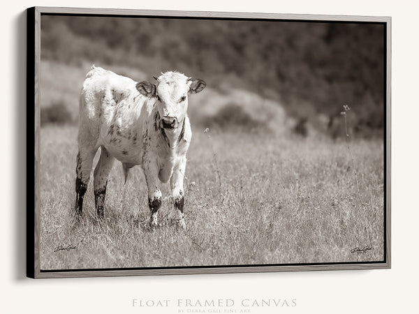 LONGHORN CALF PRINT - FARMHOUSE DECOR