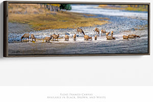 Wild Elk Wall Art – Rustic Western Canvas Print | Large Panoramic Elk Herd Decor