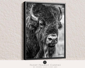 Vertical Bison Canvas Wall Art | Western Black and White Wildlife