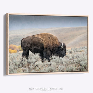 Yellowstone Bison Wall Art | Yellowstone Landscape Western Decor