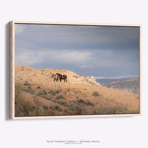 Wild Horses Wall Art | Large Western Horse Canvas Print