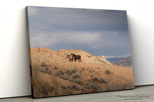 Wild Horses Wall Art | Large Western Horse Canvas Print