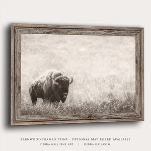 Minimalist Bison Canvas Art Print