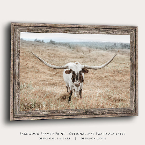 Longhorn Cow Print or Canvas - Neutral Farmhouse Artwork