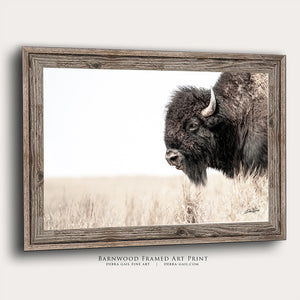 Bison wall art – rustic prairie photography print by Debra Gail Fine Art
