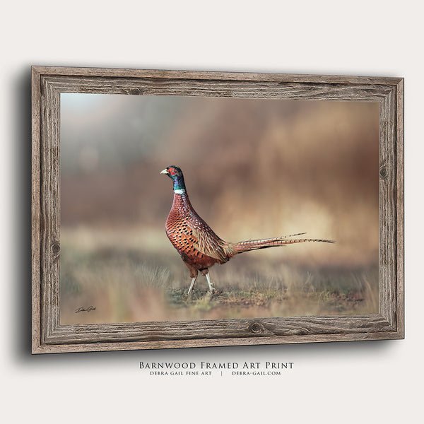 Pheasant Rooster Art Print - Rustic Wildlife Decor No. 0659