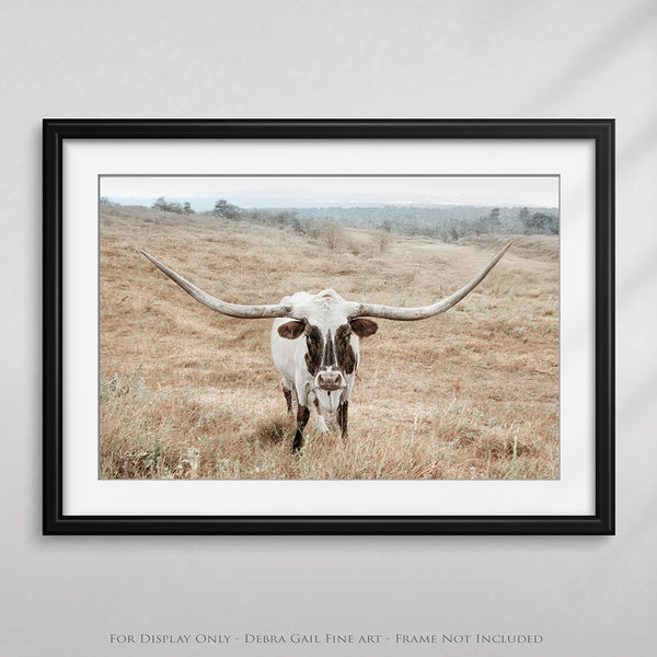 Longhorn Cow Print or Canvas - Neutral Farmhouse Artwork