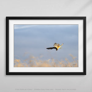 hawk Prairie wall art – sunrise landscape photography print by Debra Gail Fine Art
