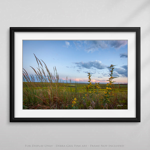 Kansas Flint Hills Wildflowers Fine Art Print - Farmhouse Decor