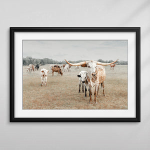 Longhorn Wall Art | Rustic Western Canvas Print