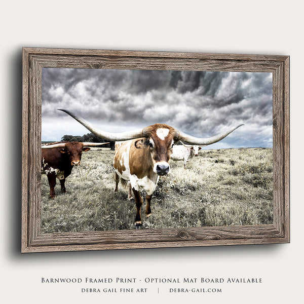 Modern Farmhouse Longhorn Art - Western Decor