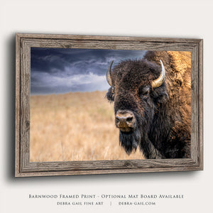 Buffalo White Spiritial Bison wall art canvas – fine art print by Debra Gail Fine Art