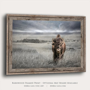 Buffalo fine art print – Great Plains wildlife wall decor by Debra Gail Fine Art