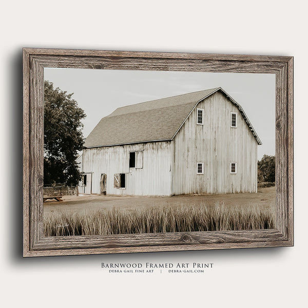 White Barn Fall Farmhouse Landscape Print No. 0538