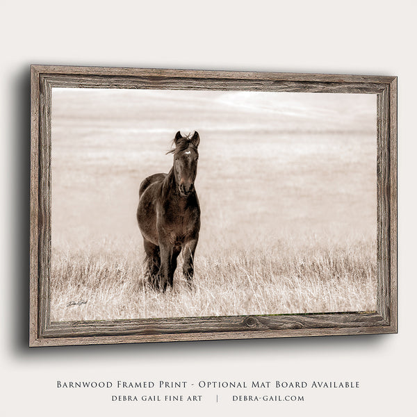 HORSE ON THE PRAIRIE - WESTERN DECOR PRINT