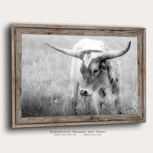 CUTE LONGHORN CALF PICTURE - FARMHOUSE COW NURSERY DECOR