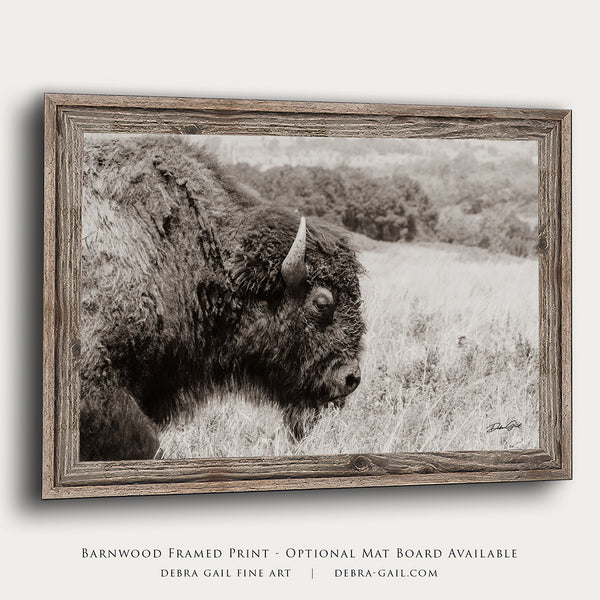 MAJESTIC PLAINS BISON - WESTERN DECOR