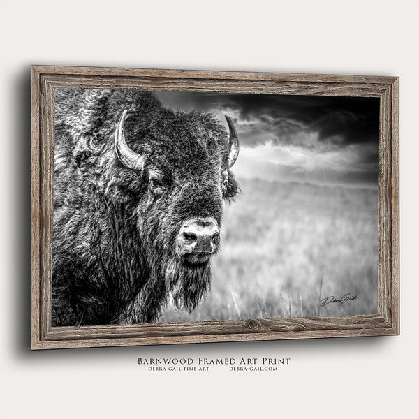 HUGE BISON CLOSE UP PRINT - BUFFALO WALL ART