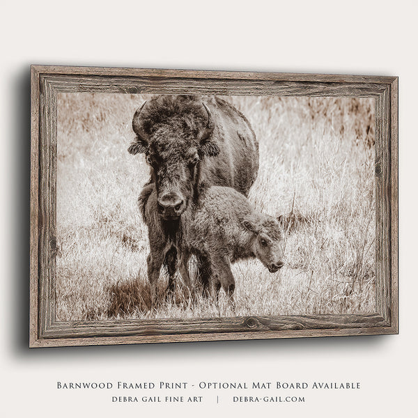 Mama Close Up Print or Canvas - Baby Buffalo - Rustic Western Decor