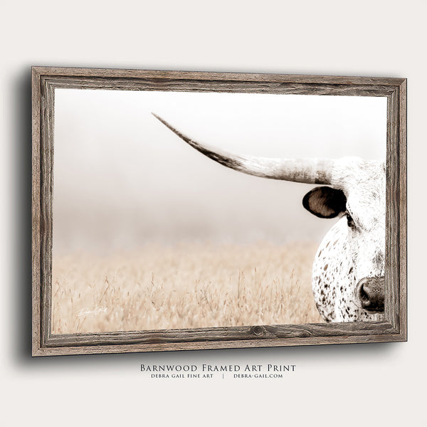 TEXAS LONGHORN CLOSE UP - CONTEMPORARY FARMHOUSE