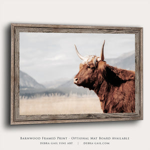 Highland cow wall art – rustic farmhouse fine art print by Debra Gail Fine Art