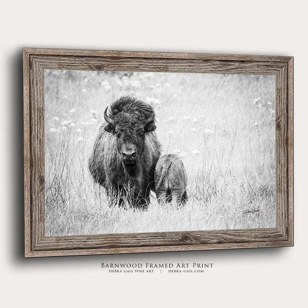 BLACK AND WHITE BUFFALO AND CALF - FARMHOUSE DECOR