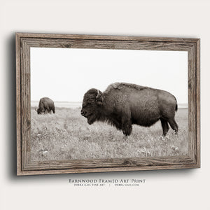 Bison wall art – rustic prairie photography print by Debra Gail Fine Art