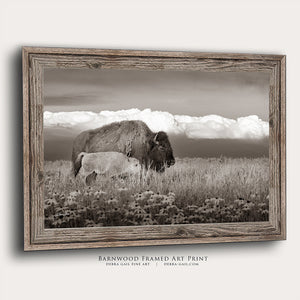 Buffalo Wall Art | Western Bison Calf Canvas Print - Rustic Farmhouse Decor