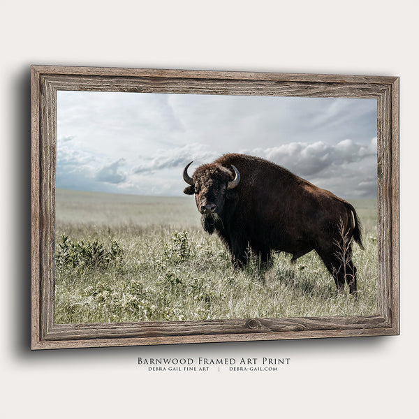 BIG BISON BULL ON THE PRAIRIE - RUSTIC WALL ART