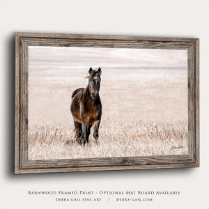 Wild Horse wall art – rustic Western fine art print by Debra Gail Fine Art