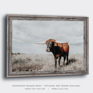 Longhorn cow wall decor canvas – rustic Western fine art print by Debra Gail Fine Art