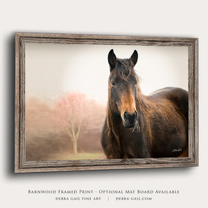 Wild Horse wall art – rustic Western fine art print by Debra Gail Fine Art