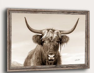 Highland Cow Wall Art | Sepia Portrait Photography