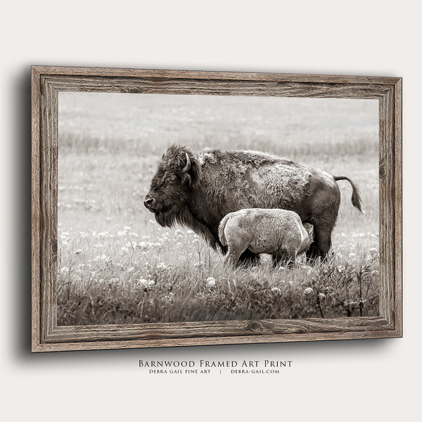 American Bison Wall Art - Vintage Western Decor Canvas