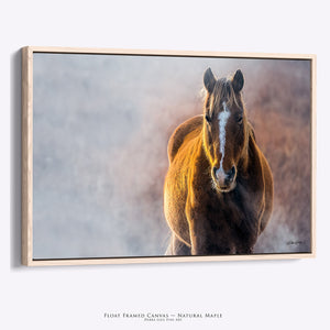 Wild Horse Wall Art | Minimalist Peaceful Western Canvas