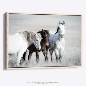 Wild Horses Canvas or Print | Western Fine Art Prairie Landscape Photography