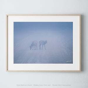 a picture of three horses in the fog