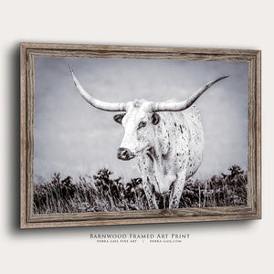 A black and white photograph of a longhorn steer standing in a field with tall grass.